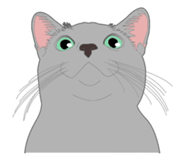 Rial system young lady cat sticker #9193236