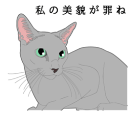 Rial system young lady cat sticker #9193237