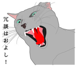 Rial system young lady cat sticker #9193238