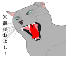 Rial system young lady cat sticker #9193238