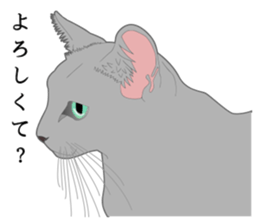 Rial system young lady cat sticker #9193239
