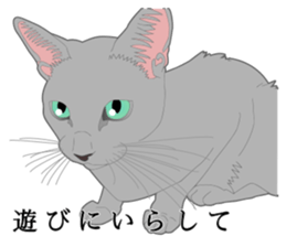 Rial system young lady cat sticker #9193240