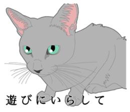 Rial system young lady cat sticker #9193240