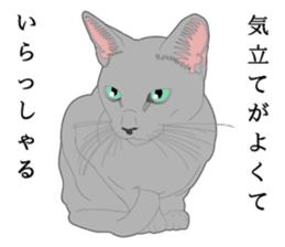 Rial system young lady cat sticker #9193241