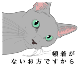 Rial system young lady cat sticker #9193242