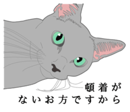 Rial system young lady cat sticker #9193242