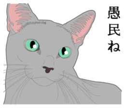 Rial system young lady cat sticker #9193243