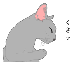 Rial system young lady cat sticker #9193244