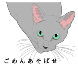 Rial system young lady cat sticker #9193245