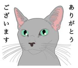 Rial system young lady cat sticker #9193248