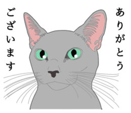 Rial system young lady cat sticker #9193248