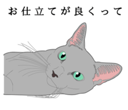 Rial system young lady cat sticker #9193250