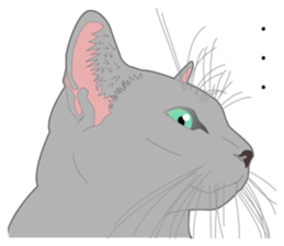 Rial system young lady cat sticker #9193253