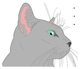 Rial system young lady cat sticker #9193253