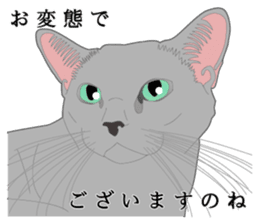 Rial system young lady cat sticker #9193254