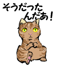 Real cat2 sticker #9195050