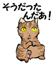 Real cat2 sticker #9195050