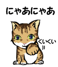 Real cat2 sticker #9195052