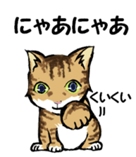 Real cat2 sticker #9195052