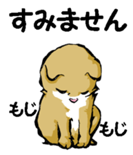 Real cat2 sticker #9195054