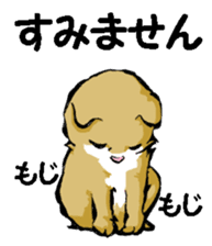 Real cat2 sticker #9195054