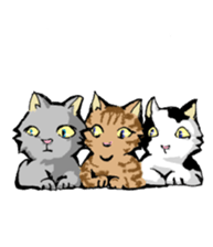 Real cat2 sticker #9195056