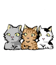 Real cat2 sticker #9195056
