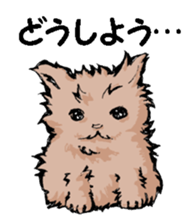 Real cat2 sticker #9195060