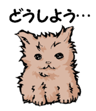 Real cat2 sticker #9195060