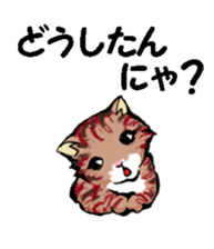 Real cat2 sticker #9195061