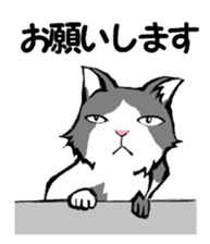 Real cat2 sticker #9195064