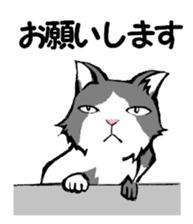 Real cat2 sticker #9195064