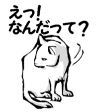 Real cat2 sticker #9195065