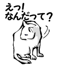 Real cat2 sticker #9195065