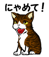 Real cat2 sticker #9195067