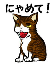 Real cat2 sticker #9195067