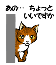 Real cat2 sticker #9195068