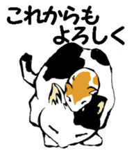 Real cat2 sticker #9195072