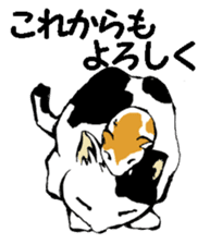 Real cat2 sticker #9195072