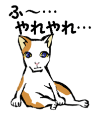 Real cat2 sticker #9195073