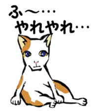 Real cat2 sticker #9195073