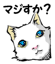 Real cat2 sticker #9195074