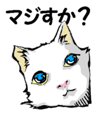 Real cat2 sticker #9195074