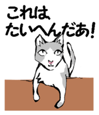 Real cat2 sticker #9195075