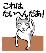 Real cat2 sticker #9195075