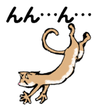 Real cat2 sticker #9195076