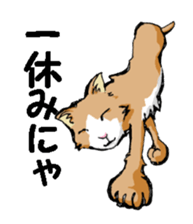 Real cat2 sticker #9195077