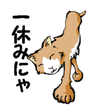 Real cat2 sticker #9195077