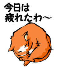 Real cat2 sticker #9195078