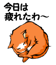 Real cat2 sticker #9195078